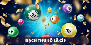bạch thủ lô là gì