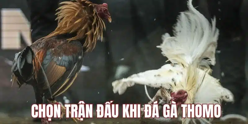 Chọn trận chiến phù hợp để đầu tư