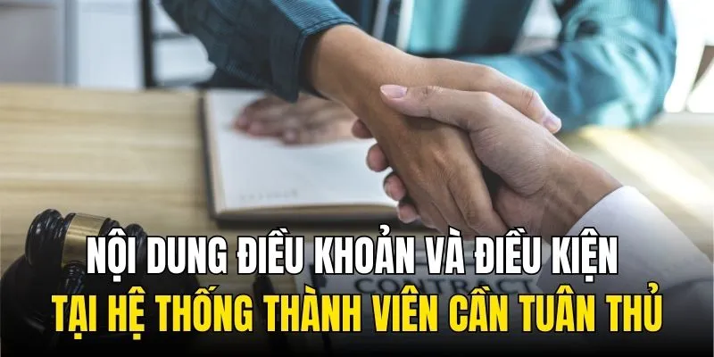 Nội dung chi tiết điều khoản và điều kiện tại hệ thống thành viên cần tuân thủ